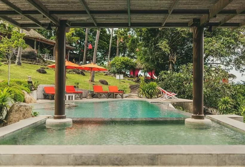 Fotos del hotel The Jungle Club:  8