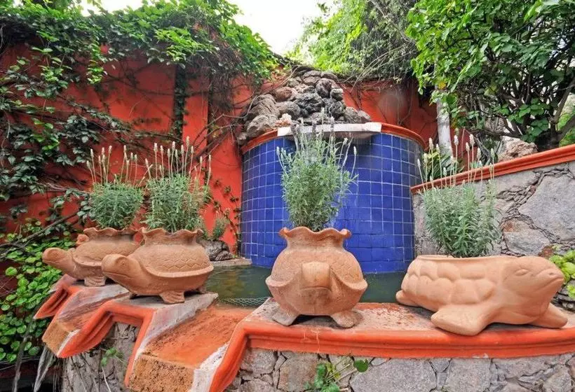 Fotos del hotel Casa Puesta Del Sol:  12