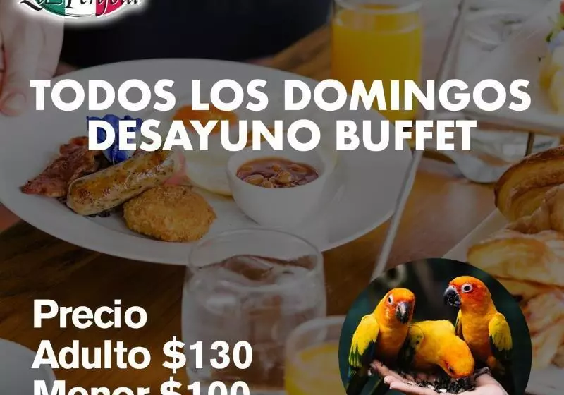 Fotos del hotel La Pergola:  16