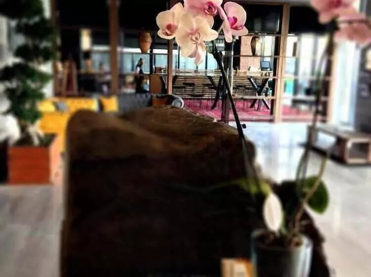 Fotos del hotel Livello:  18