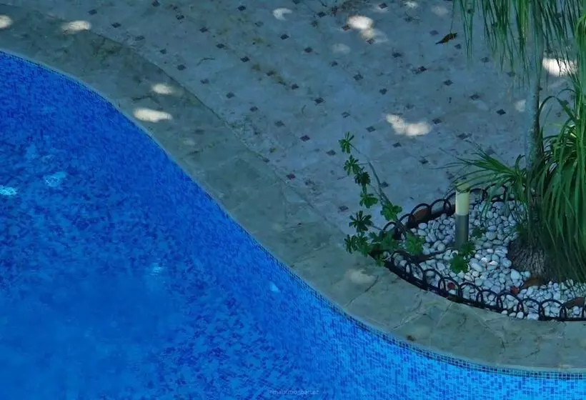 Fotos del hotel New Garden:  8