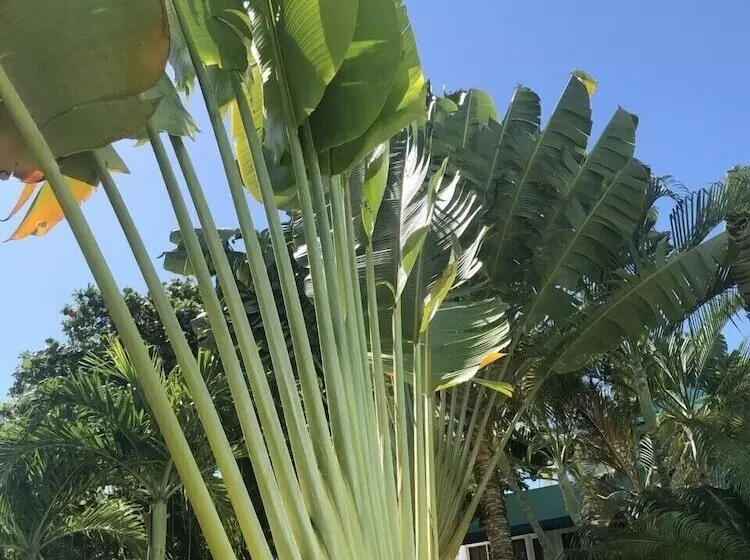 Fotos del hotel New Garden:  18