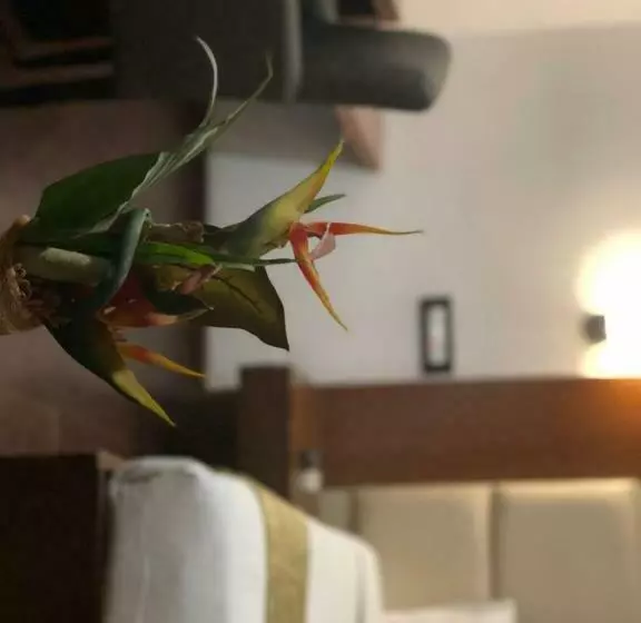 Fotos del hotel Tabla Pride:  15