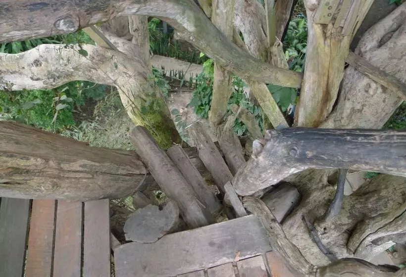 Fotos del hotel Pai Treehouse Resort:  7