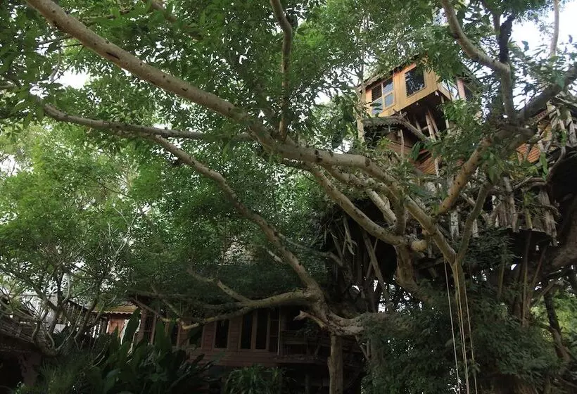 Fotos del hotel Pai Treehouse Resort:  22