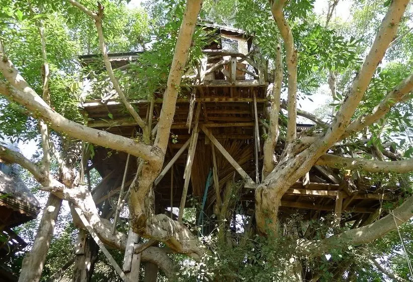 Fotos del hotel Pai Treehouse Resort:  20