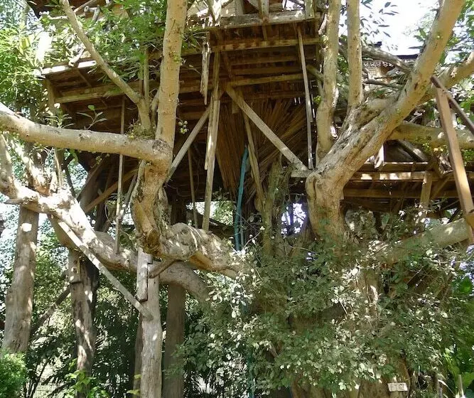 Fotos del hotel Pai Treehouse Resort:  17