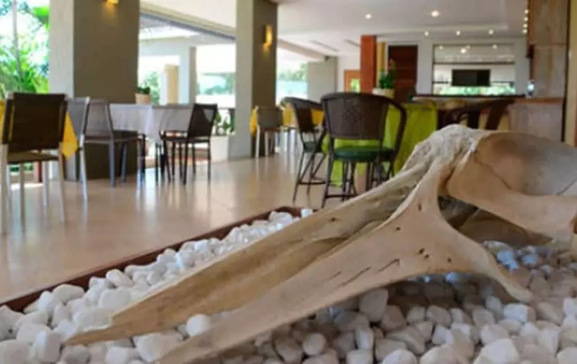 Fotos del hotel Pousada Pelicano:  9