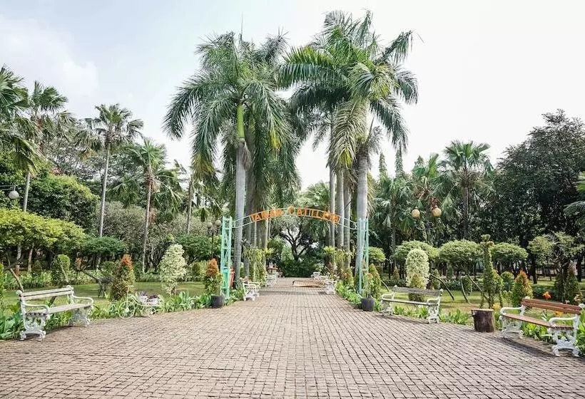 Fotos del hotel Belvena:  13