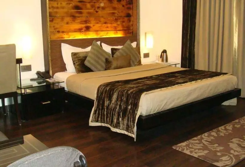 Fotos del hotel Shreyans Inn:  18