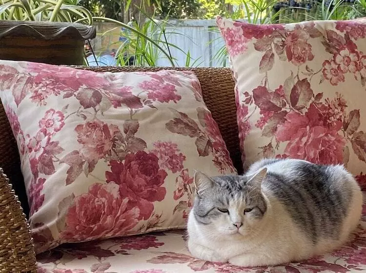 Fotos del hotel Family House @ Pai:  7