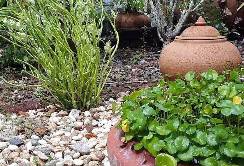 Fotos del hotel Rimpu Hill Resort:  3