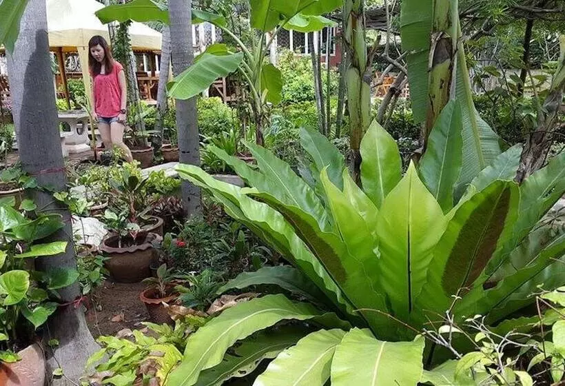 Fotos del hotel Rimpu Hill Resort:  6