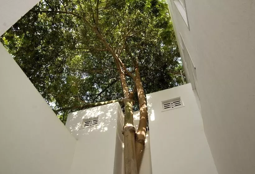 Fotos del hotel La Casa Del Piano  Boutique By Xarm S:  7