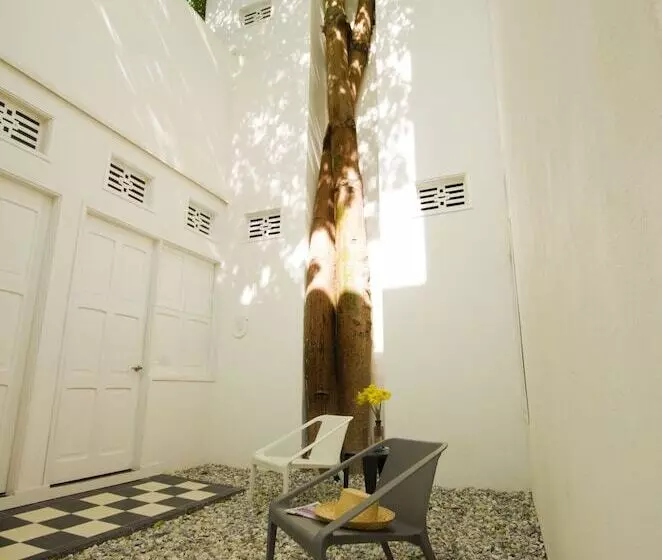 La Casa Del Piano  Boutique By Xarm S