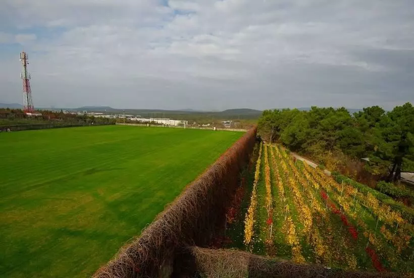 Fotos del hotel Grande Casa:  8