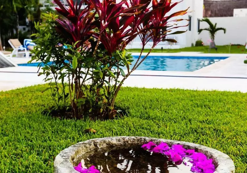 Fotos del hotel Xscapetulum:  6