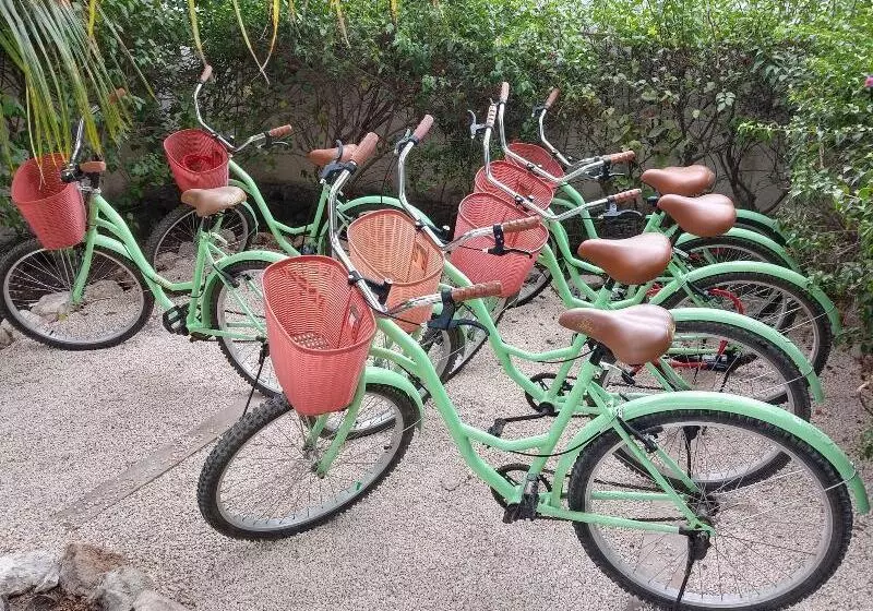 Fotos del hotel Xscapetulum:  7