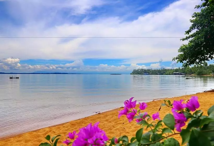 Fotos del hotel Amber Sands Beach Resort:  16