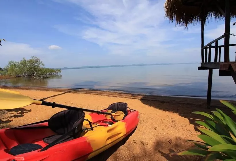 Fotos del hotel Amber Sands Beach Resort:  12