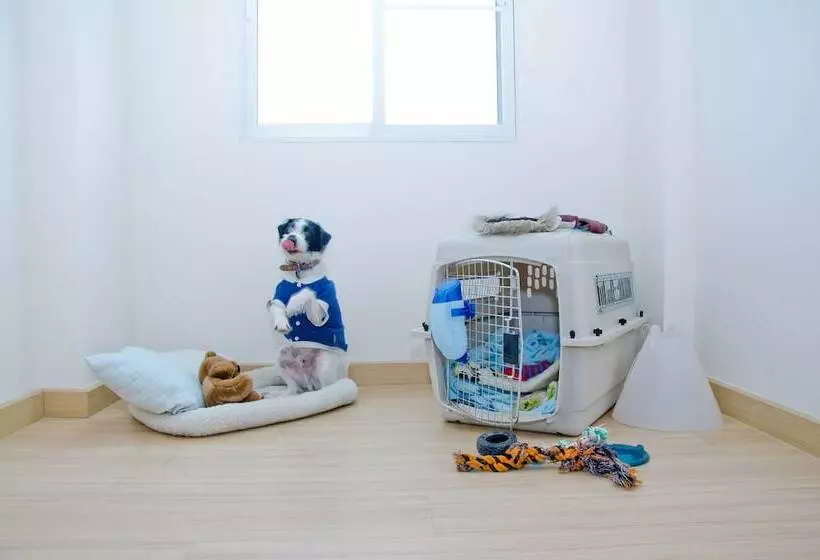 Fotos del hotel Kozy Inn:  3