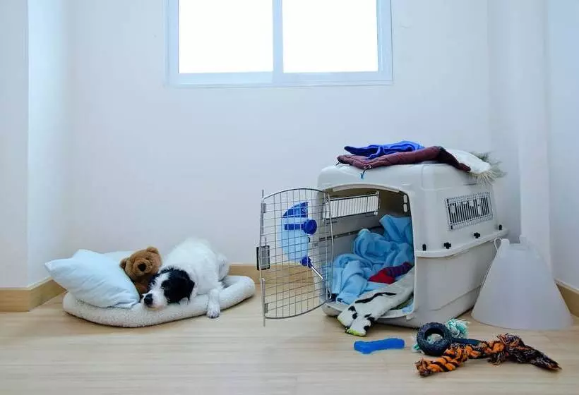 Fotos del hotel Kozy Inn:  12