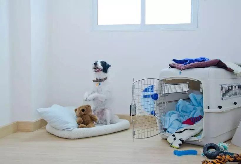 Fotos del hotel Kozy Inn:  14