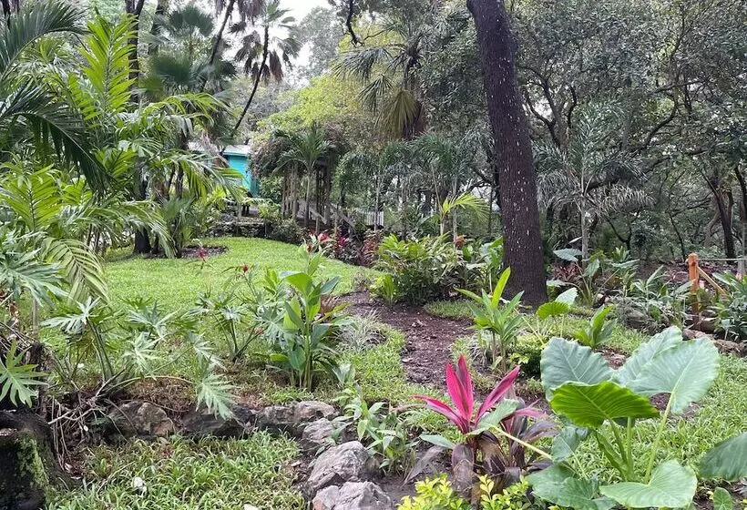 Fotos del hotel Upachaya:  12