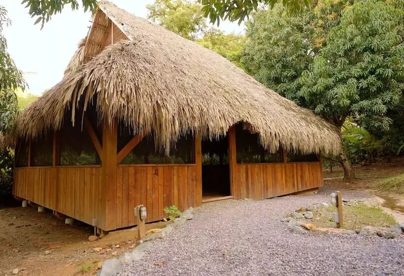 Fotos del hotel Upachaya:  14