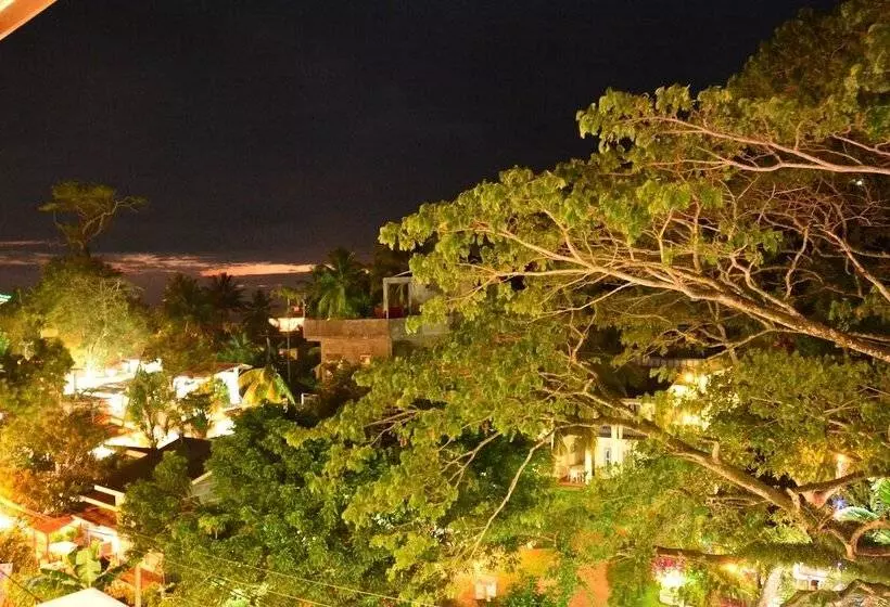 Fotos del hotel Gloria Grand:  7