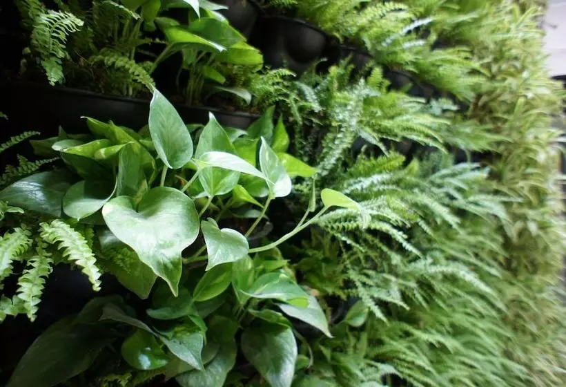 Fotos del hotel Green   Fengjia:  15