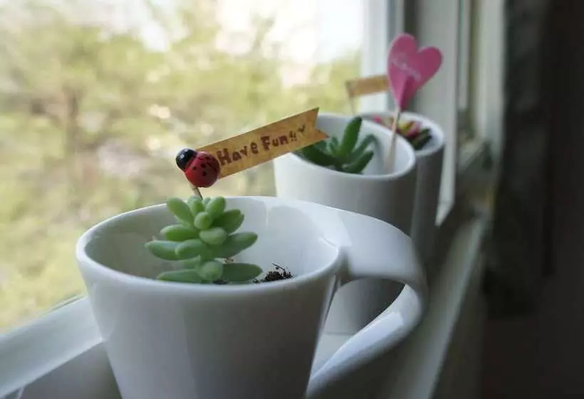 Fotos del hotel Green   Fengjia:  10