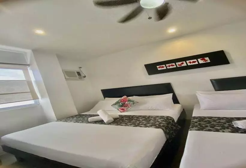 Fotos del hotel Micasa Lodge:  7