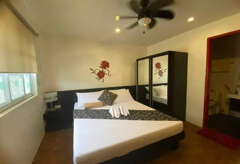 Fotos del hotel Micasa Lodge:  9