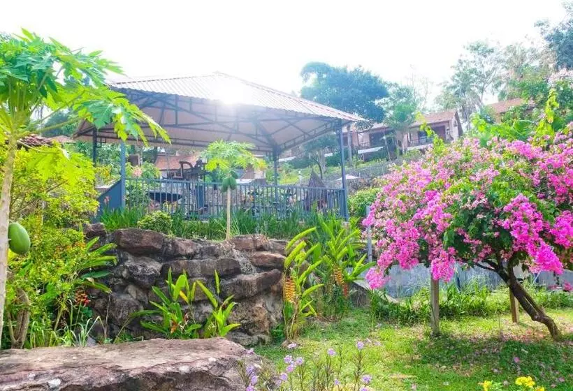 Fotos del hotel Daisy Resort:  8