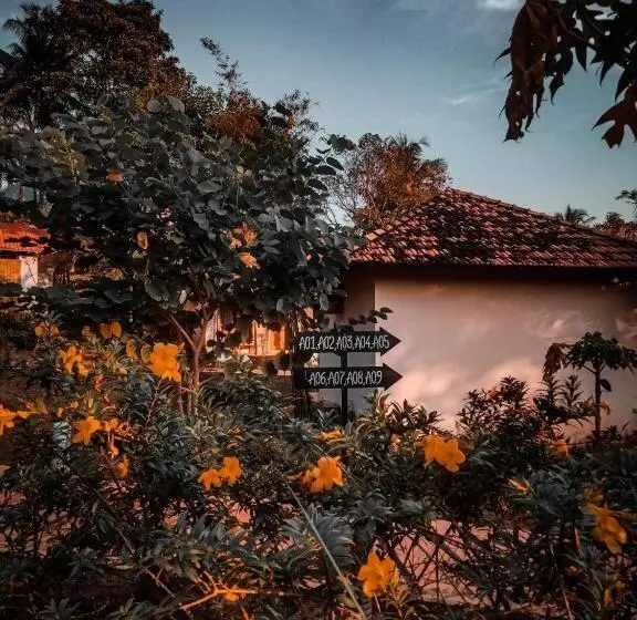 Fotos del hotel Daisy Resort:  12