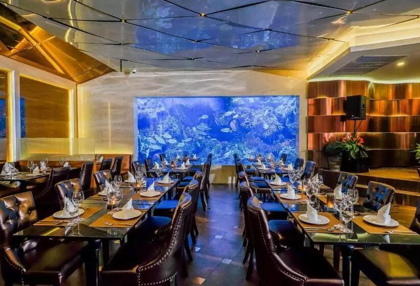 Fotos del hotel Amaranta:  3