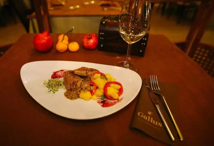 Fotos del hotel Gallus:  25