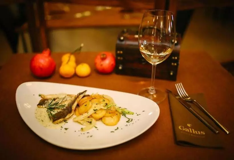 Fotos del hotel Gallus:  23