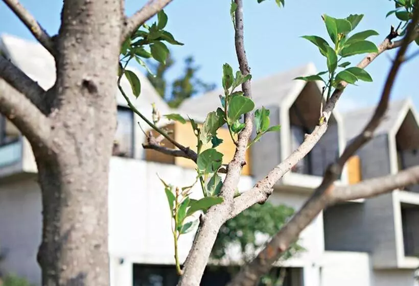 Fotos del hotel Jeju Stay Biuda:  20