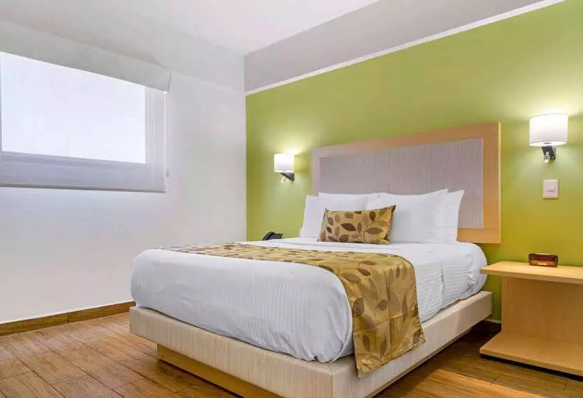 Fotos del hotel Sleep Inn Mazatlan:  21