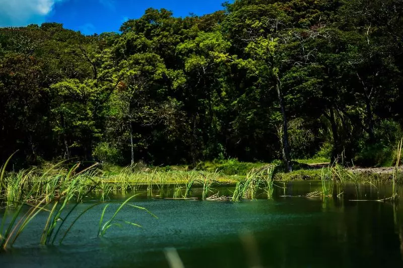 Fotos del hotel Montaña Monteverde:  3