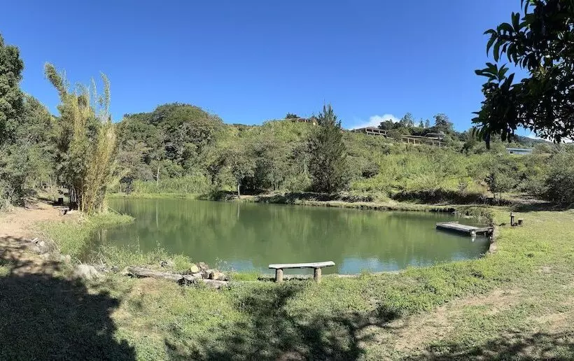 Fotos del hotel Montaña Monteverde:  18