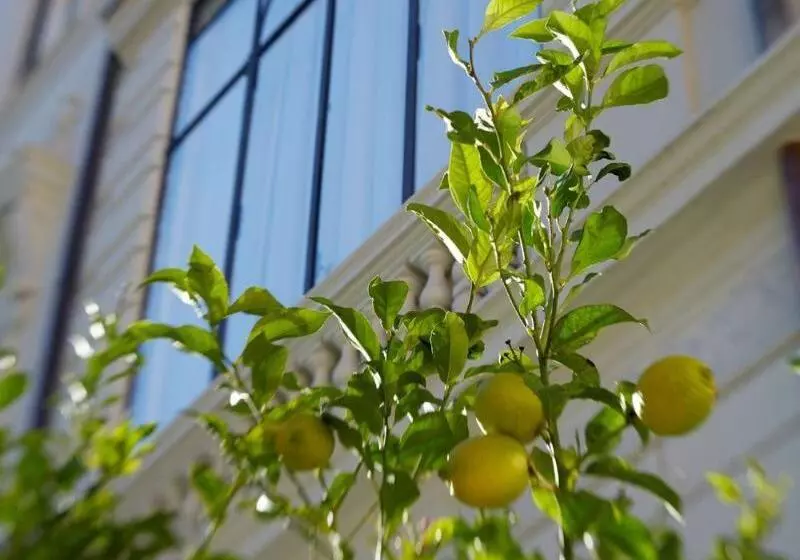 Fotos del hotel Palazzo Dama - Preferred Hotels & Resorts:  16