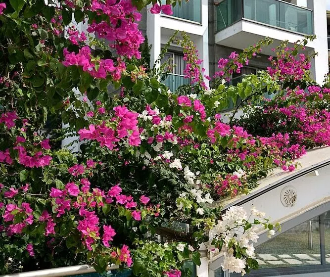 Fotos del hotel Royal Palm Residence:  6