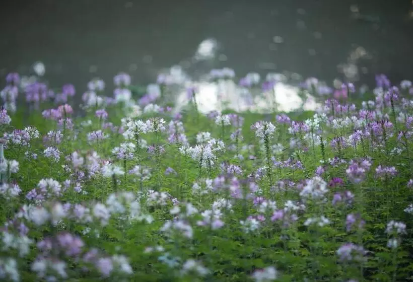 Fotos del hotel Villa San Pee Seua  Sha Extra Plus:  5