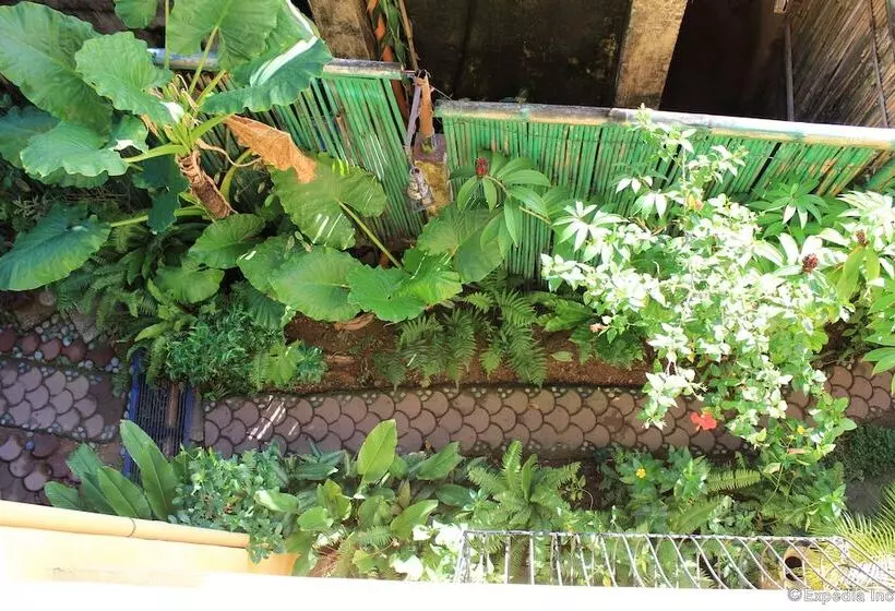 Fotos del hotel Darayonan Lodge:  14