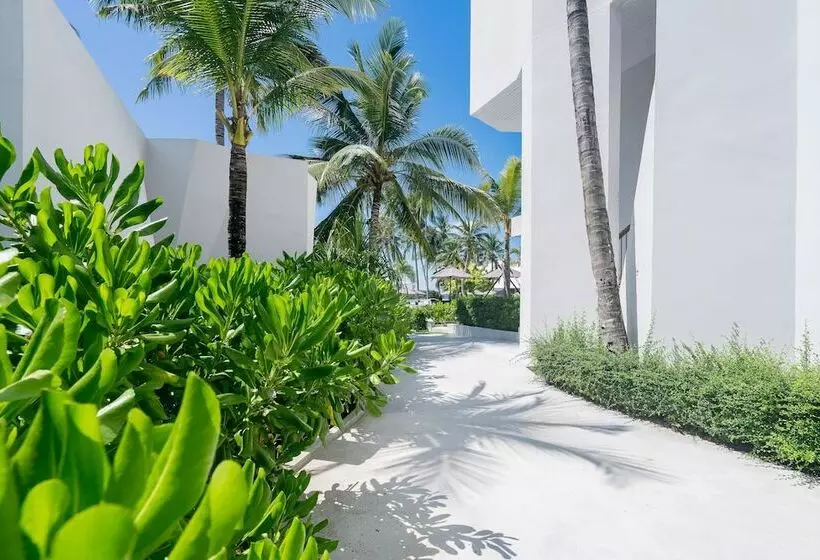 Fotos del hotel La Vida Samui:  15