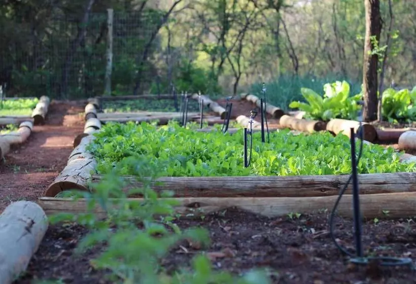 Fotos del hotel The Blades:  11