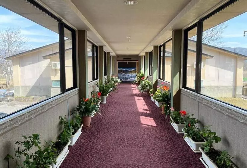 Fotos del hotel Goryukan:  17